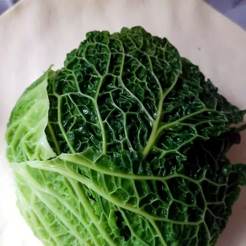 Blanched savoy cabbage leaves laid over a disc of puff pastry, part-way through building the pithivier.