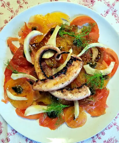 Tomato carpaccio on a pale plate, topped with charred octopus tentacles, shaved fennel, capers and fennel fronds.